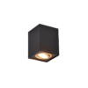 Plafonjera BISCUIT - 613000180