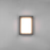 Spoljna zidna lampa WITHAM - 277860142 - Image 2