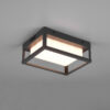 Spoljna zidna lampa WITHAM - 277860142 - Image 3