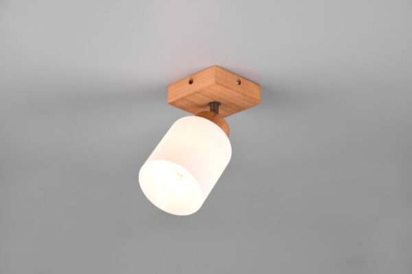 Spot lampa ASSAM - R81111030 - Slika 5