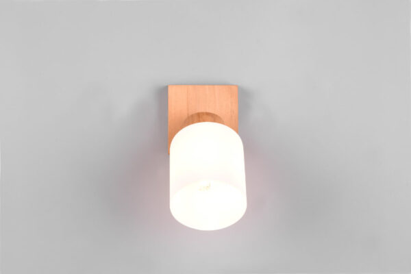Spot lampa ASSAM - R81111030 - Slika 6
