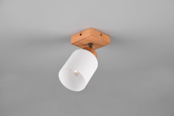 Spot lampa ASSAM - R81111030 - Slika 3