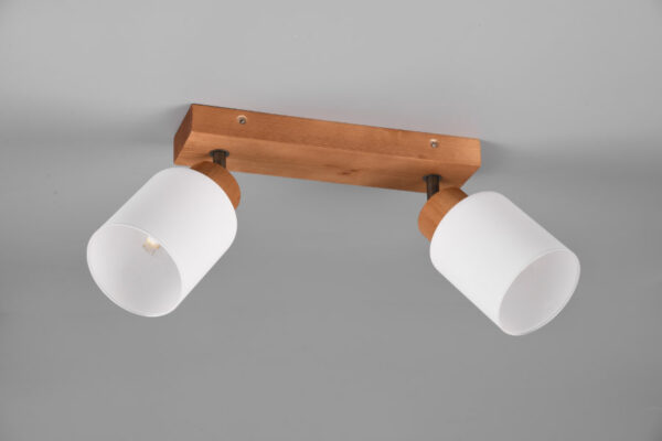 Spot lampa ASSAM - R81112030 - Slika 5