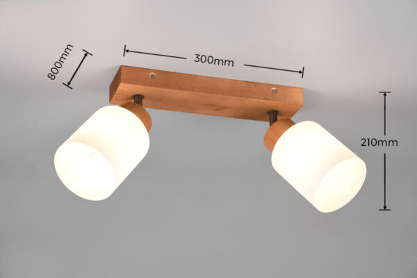Spot lampa ASSAM - R81112030 - Slika 2