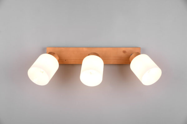 Spot lampa ASSAM - R81113030 - Slika 4