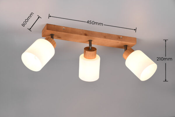 Spot lampa ASSAM - R81113030 - Slika 2