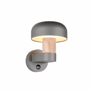 Spoljna zidna lampa FRASER – 262569135