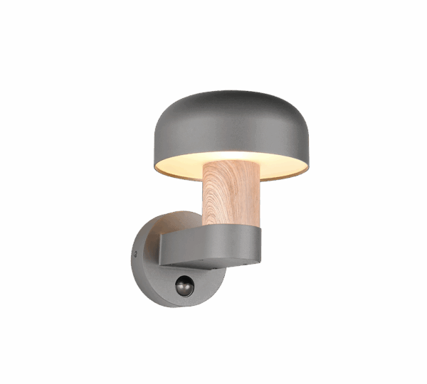 Spoljna zidna lampa FRASER – 262569135