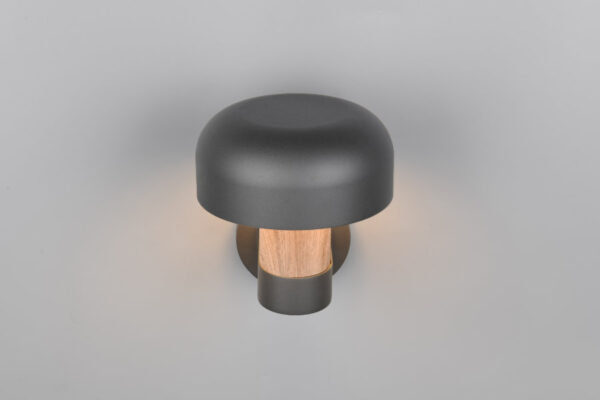 Spoljna zidna lampa FRASER – 262569135 - Image 2